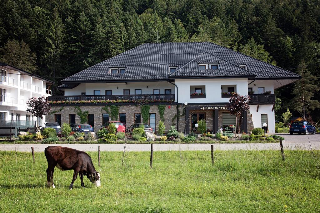 La Conac In Bucovina Hotell Gura Humorului Eksteriør bilde